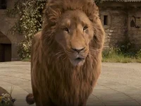 Aslan