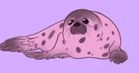 Cuddle Seal