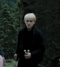 Draco L Malfoy 