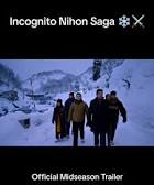 INCOGNITO 