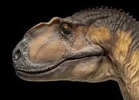 Yangchuanosaurus