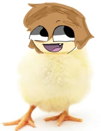 Chicken shedletsky