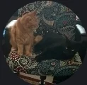 kittengod21