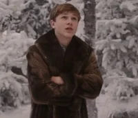 Peter Pevensie 