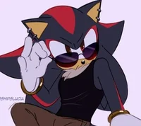 Shadow The Hedgehog 