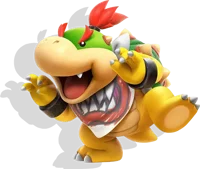 Bowser Junior