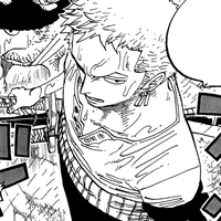 OP Roronoa Zoro