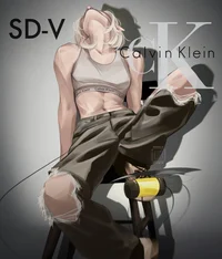 SD_V