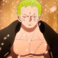 roronoa zoro