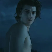 Steve Harrington 