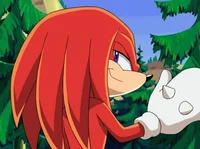 Knuckles