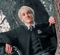 Draco