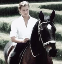 Francis Maurice