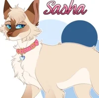 Sasha - WoCa