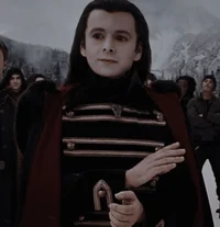 The Volturi 