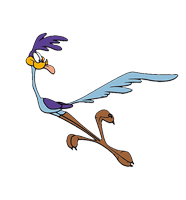 Roadrunner