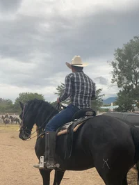 Vaquero Alejandro