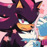 --SHADOW T HEDGGIES-