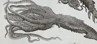 Kraken