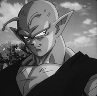 01 - PICCOLO