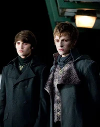 The Volturi 