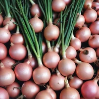 01 - New and Updated