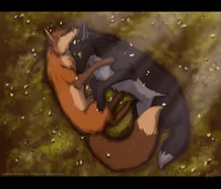 The leader of wolves