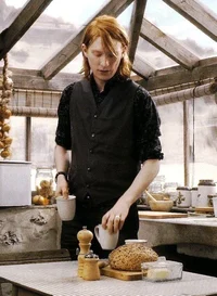 Bill Weasley 