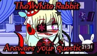 The White Rabbit Q-A