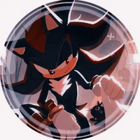 SHADOW T HEDGEHOG 