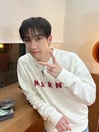 Bang Chan 