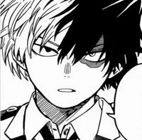1MHA Shoto Todoroki