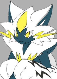 Kane The Zeraora