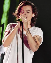 harry styles - 2014