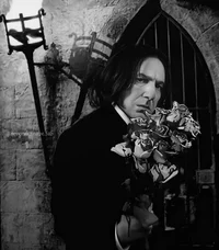 SEVERUS PRINCE SNAPE