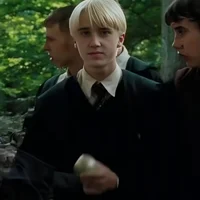Draco M