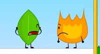 Leafy BFDI 25