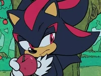 Shadow the Hedgehog