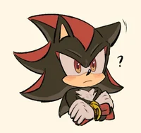 --SHADOW T HEDGGIES-