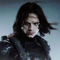 The Winter Soldier 