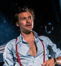 Harry Styles 2021