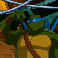Tmnt 2003 Leo