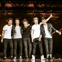 One direction -2013
