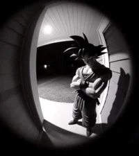 Goku at your door
