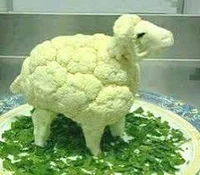 Sheep killer factory