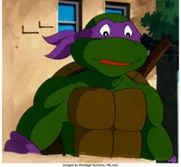 Tmnt 1987 Donnie