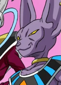 Beerus The Destroyer