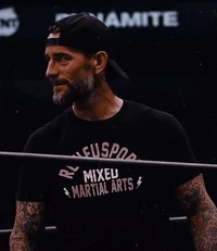 CM Punk