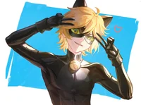 Cat Noir