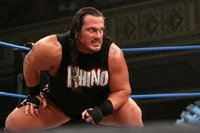 Rhyno